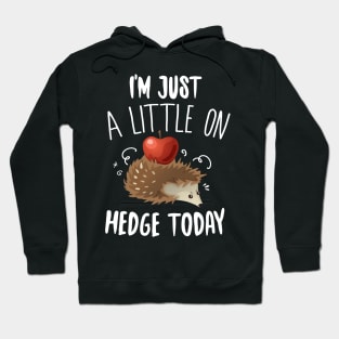 Little On Hedge Taday Hoodie